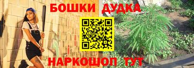 прущие грибы Гай