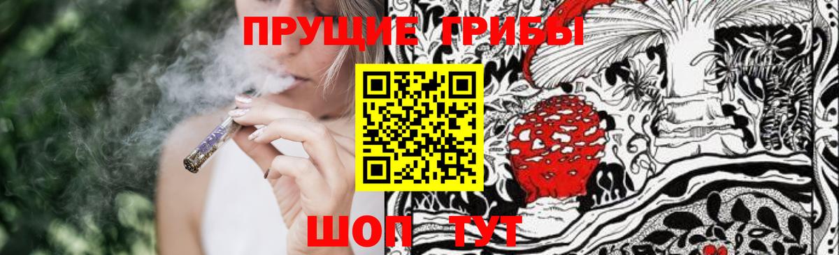 Галлюциногенные грибы прущие грибы  Вход с VPN  купить   Петропавловск-Камчатский 