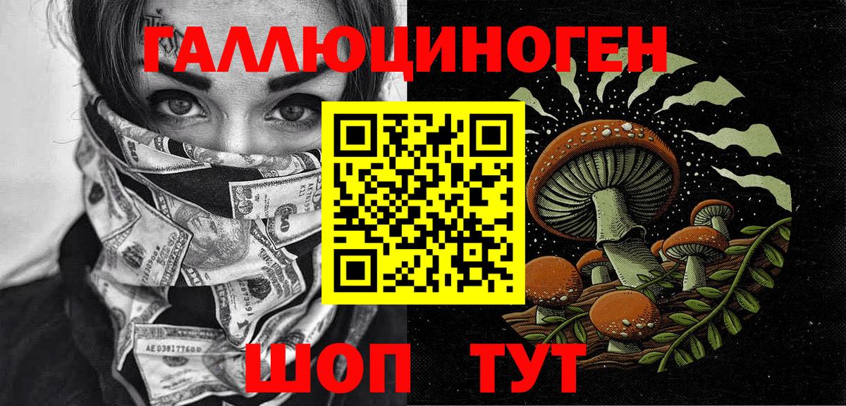 Галлюциногенные грибы прущие грибы Петропавловск-Камчатский